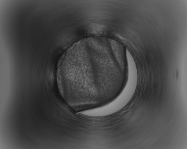 X0000092000566200710041009