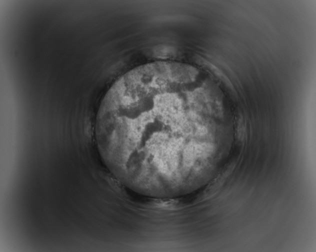 X0000092000569200710041010