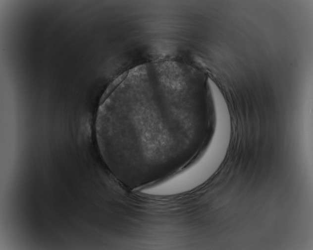 X0000092000570200710041010