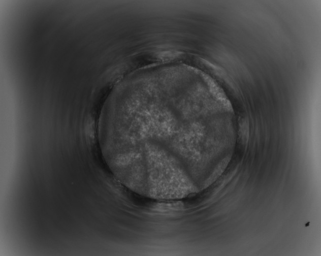 X0000092000571200710041010