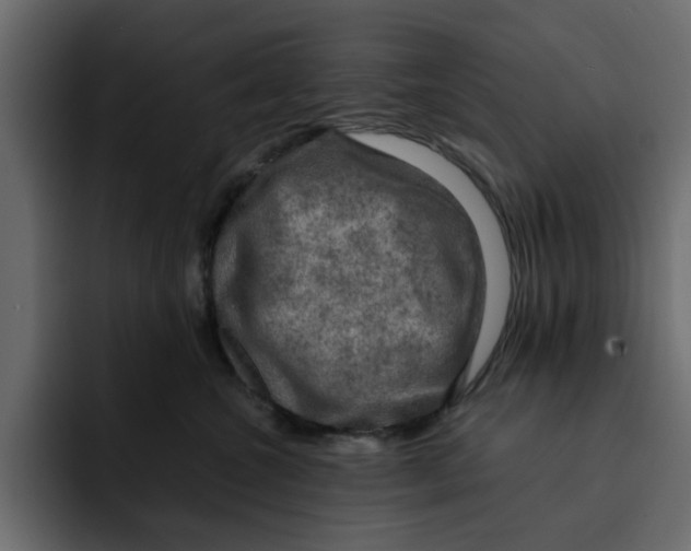 X0000092000572200710041010