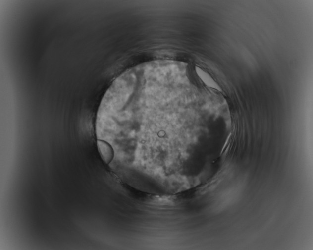 X0000092000573200710041010