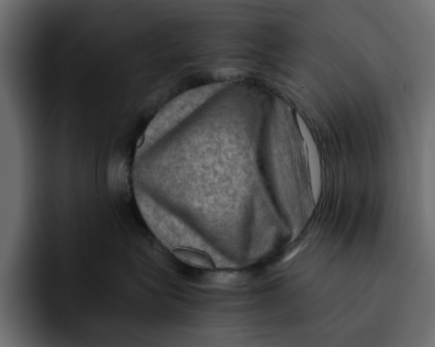 X0000092000575200710041010