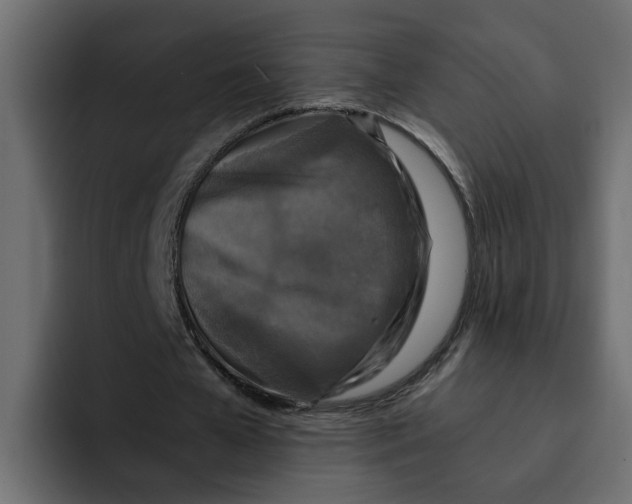 X0000092000577200710041009