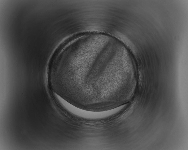 X0000092000580200710041009