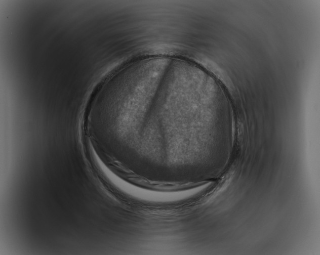 X0000092000581200710041009