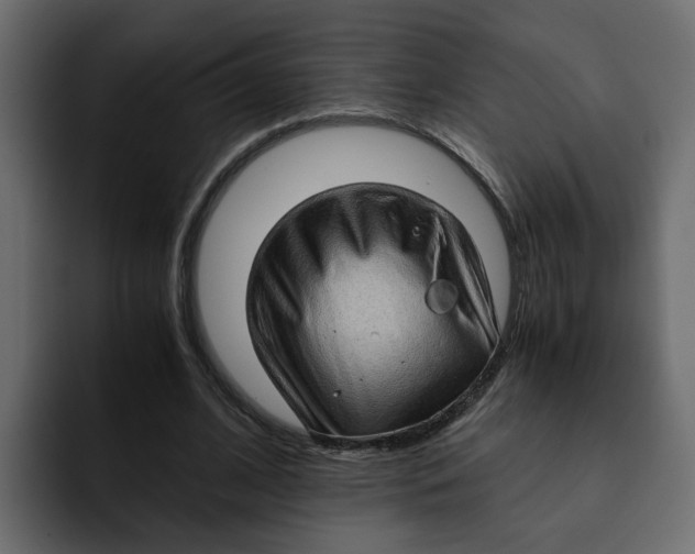 X0000092000584200710041009