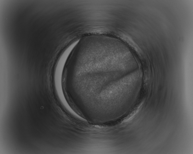 X0000092000585200710041009