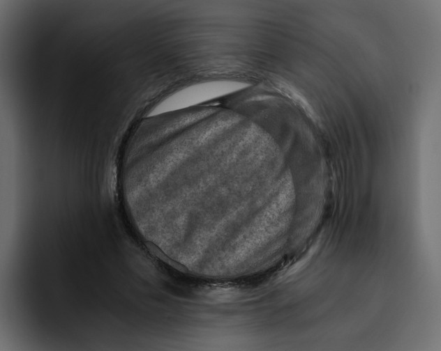 X0000092000589200710041009