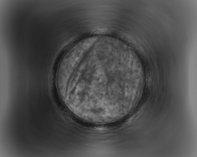 X0000092000591200710041009