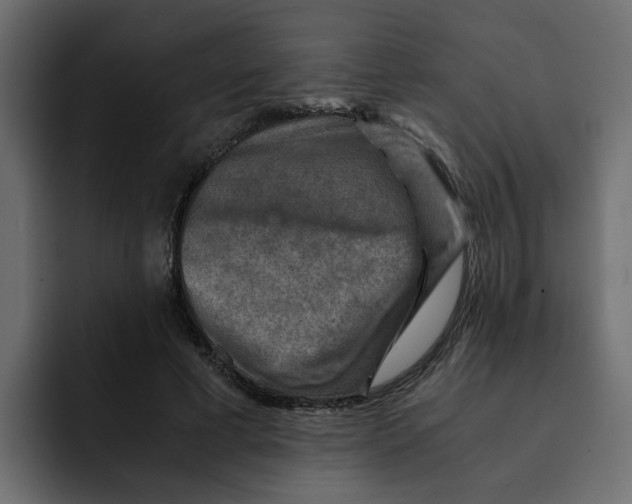 X0000092000593200710041009