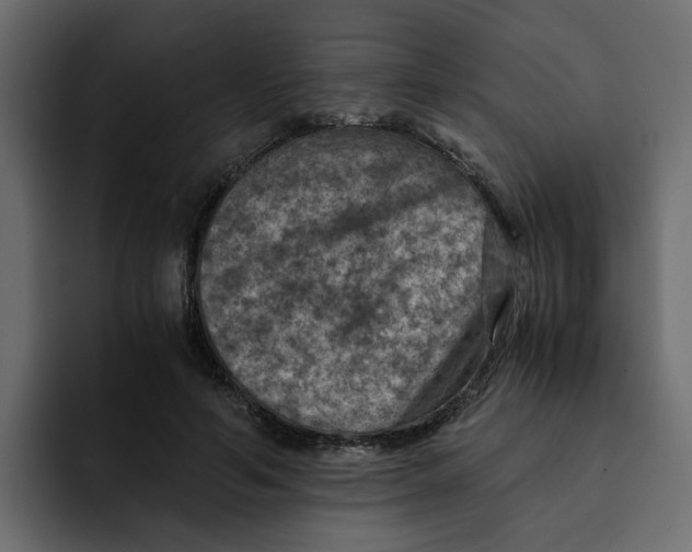 X0000092000594200710041009