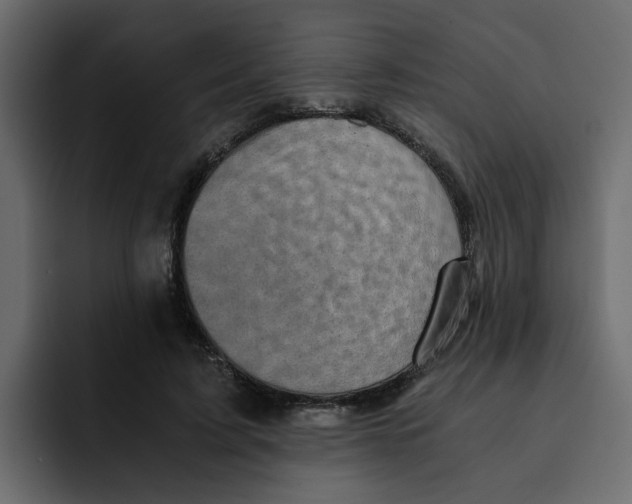 X0000092000595200710041009