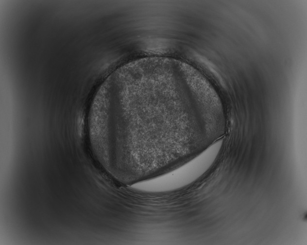 X0000092000596200710041009