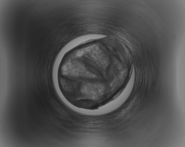 X0000092000597200710041009