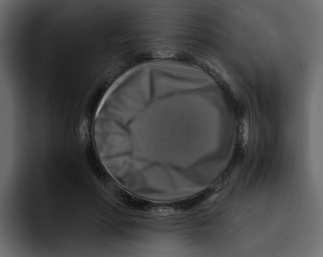 X0000092000598200710041009