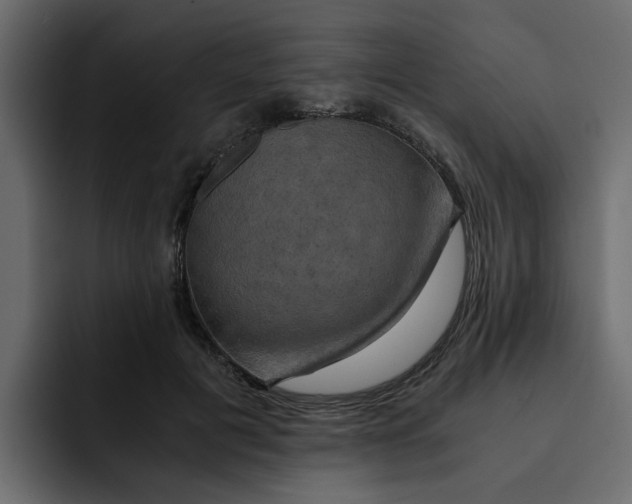 X0000092000601200710041009