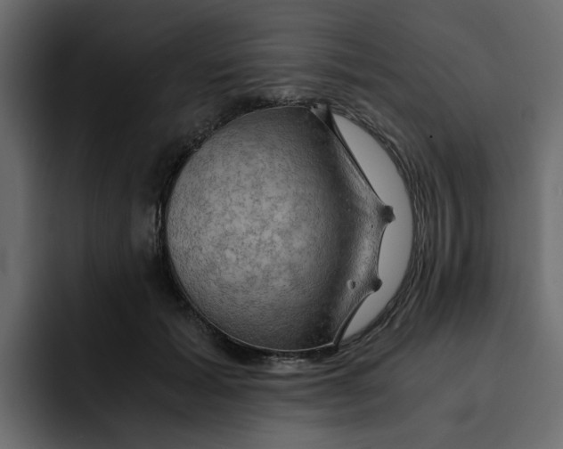 X0000092000605200710041009