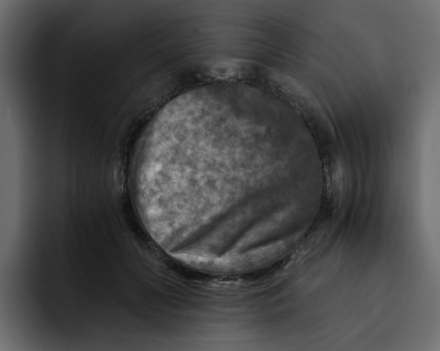 X0000092000606200710041009