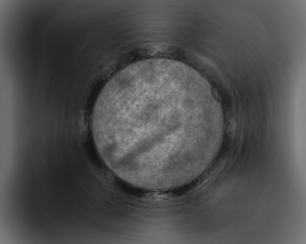 X0000092000607200710041009