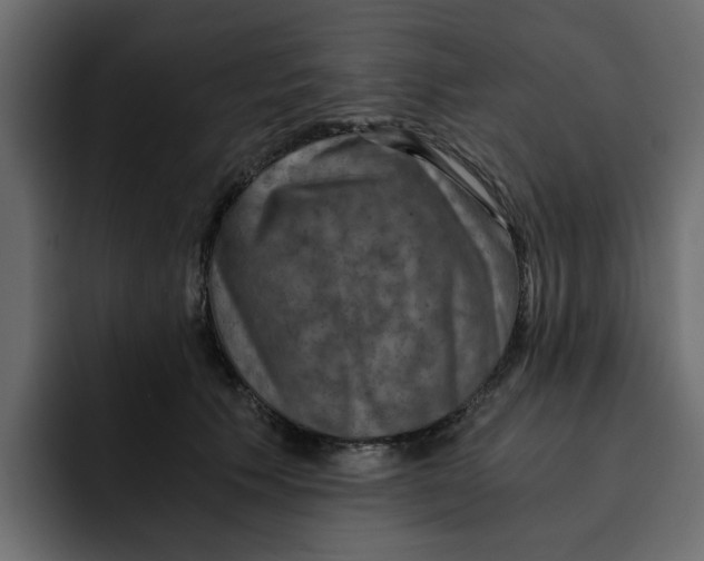 X0000092000609200710041009