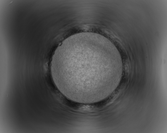 X0000092000611200710041009