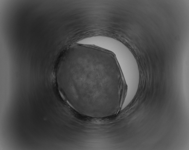 X0000092000613200710041009