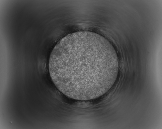 X0000092000615200710041009