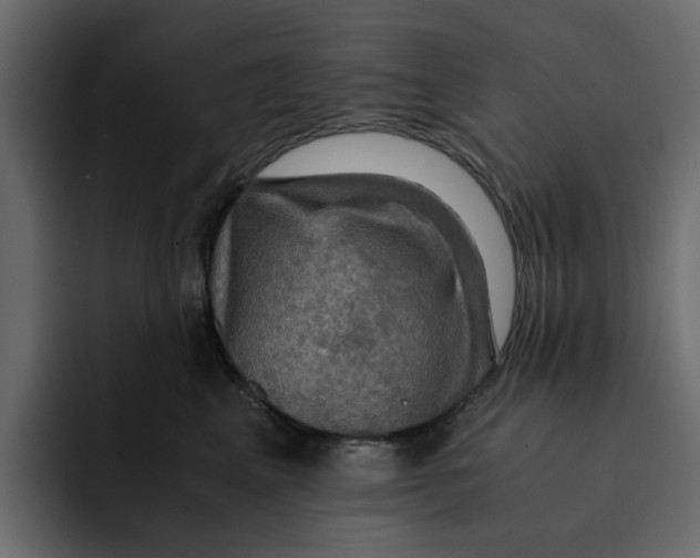 X0000092000617200710041009