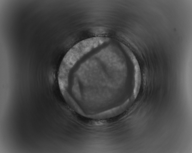 X0000092000618200710041009