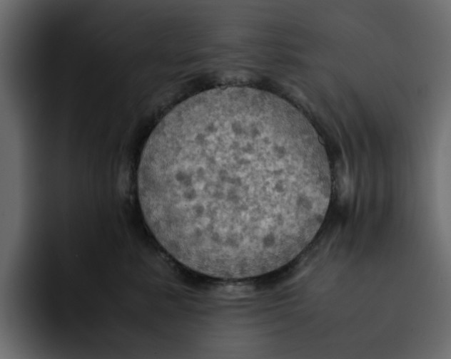 X0000092000619200710041009