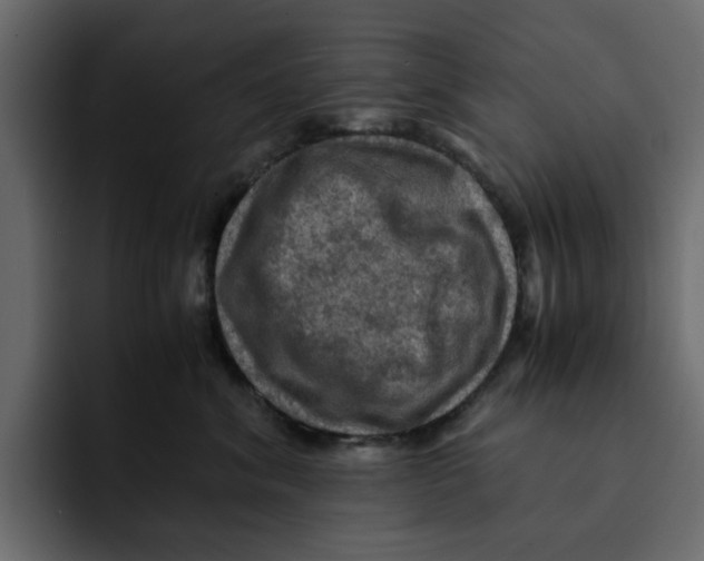 X0000092000620200710041009