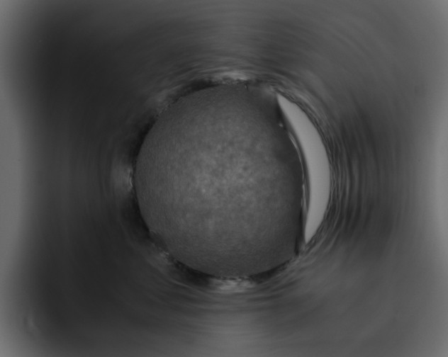 X0000092000621200710041009