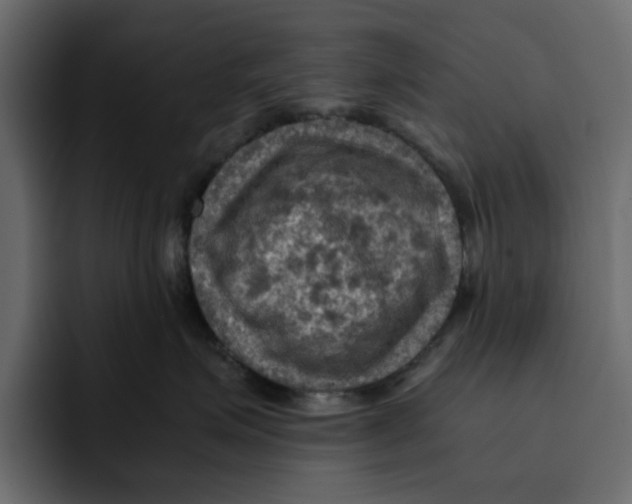 X0000092000623200710041008