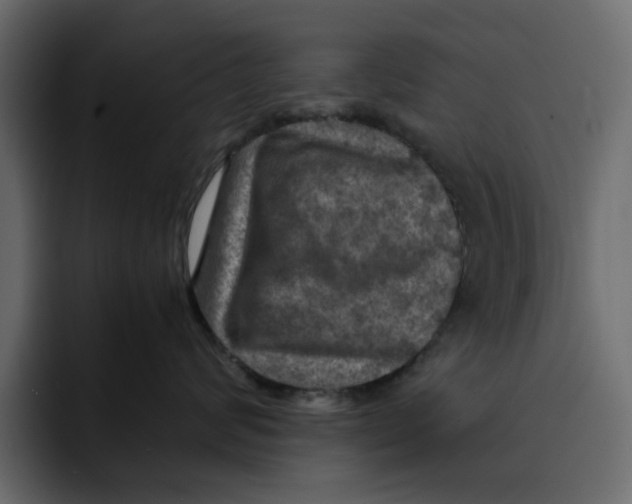 X0000092000624200710041008