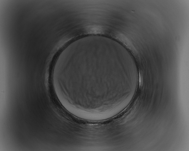 X0000092000627200710041008