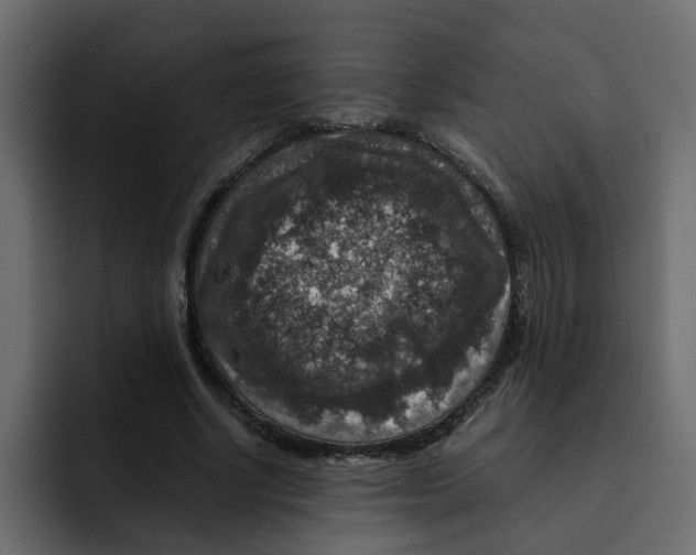 X0000092000634200710041008