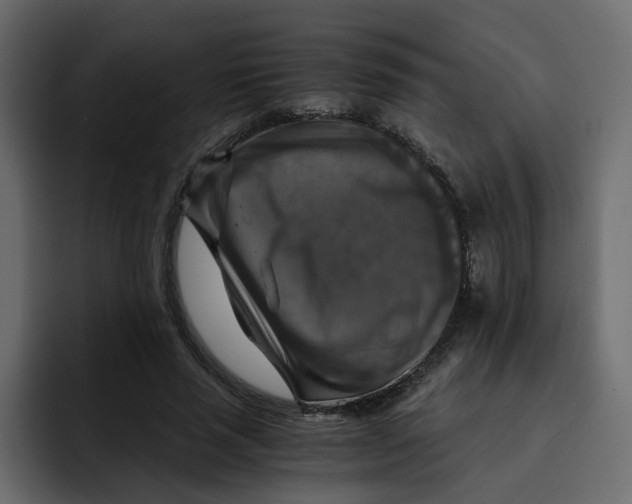 X0000092000637200710041008