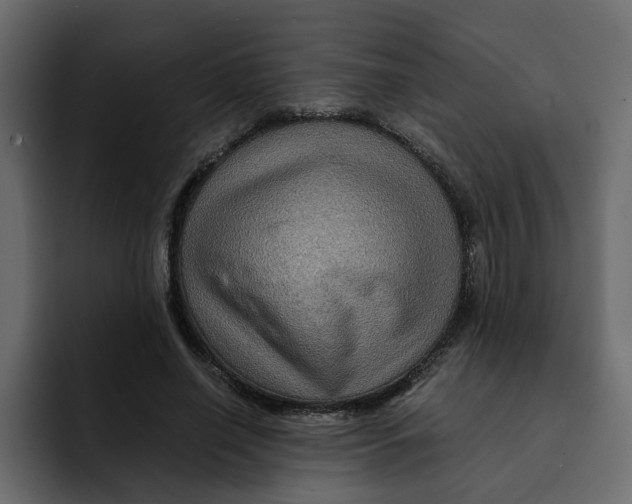 X0000092000638200710041008