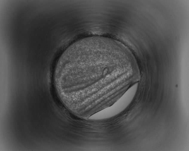 X0000092000639200710041008