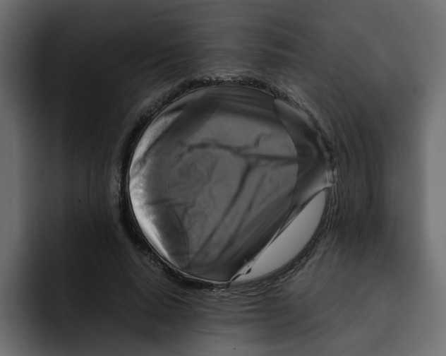 X0000092000640200710041008