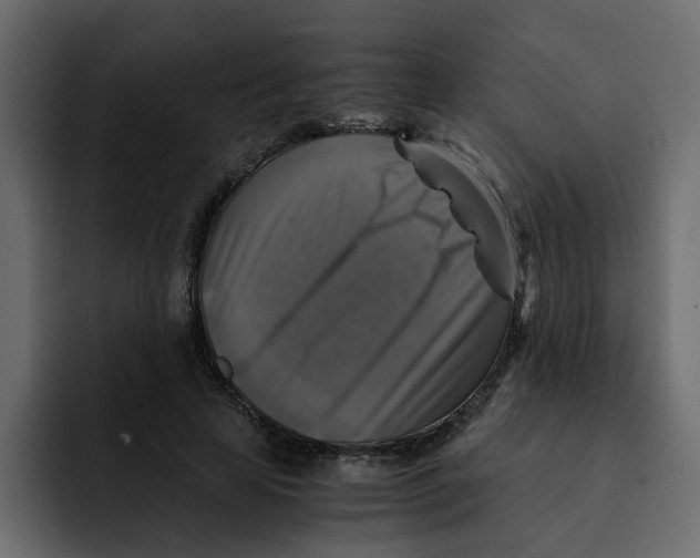 X0000092000641200710041008