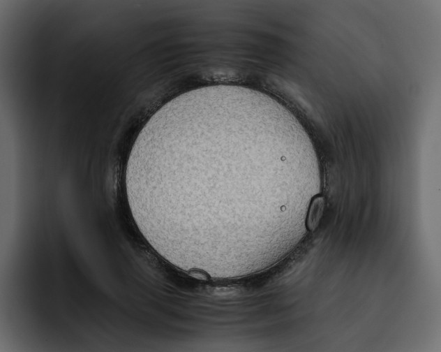 X0000092000645200710041008