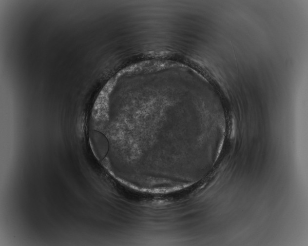 X0000092000647200710041008