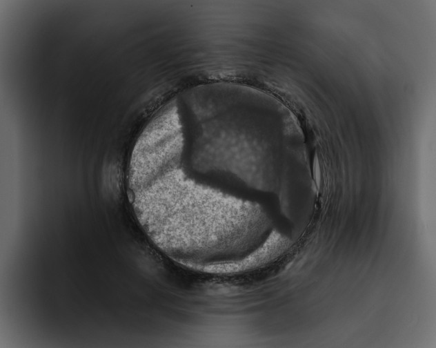 X0000092000648200710041008