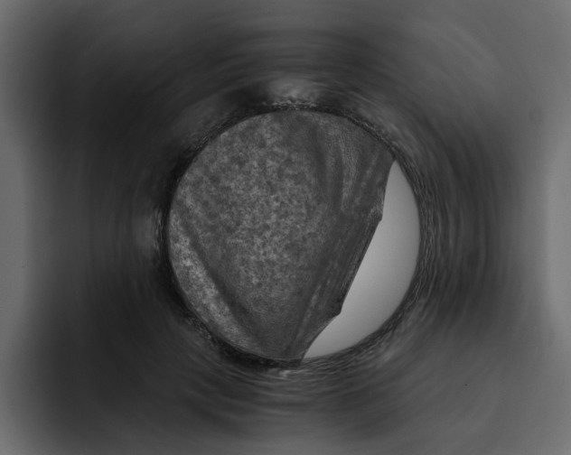 X0000092000649200710041008