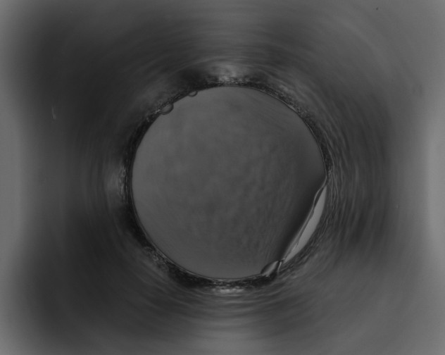 X0000092000650200710041008