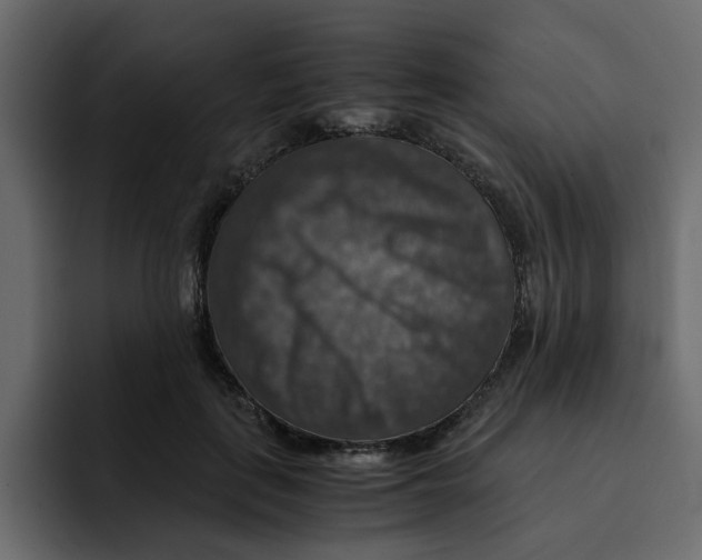 X0000092000651200710041008