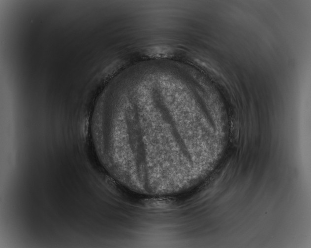 X0000092000652200710041008