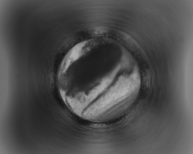 X0000092000654200710041008